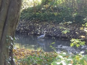 Im Schlosspark Niederschönhausen