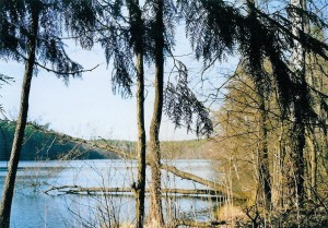 Schlaubetal