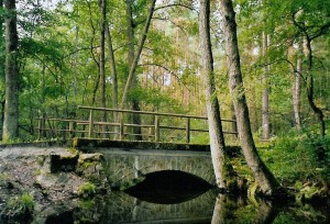 Briesetal