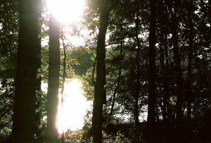 Kleiner Töpchiner See / Fontaneweg