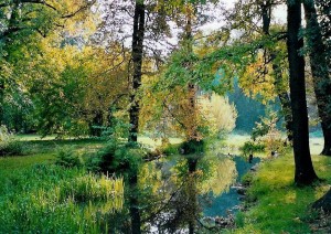 Spreewald